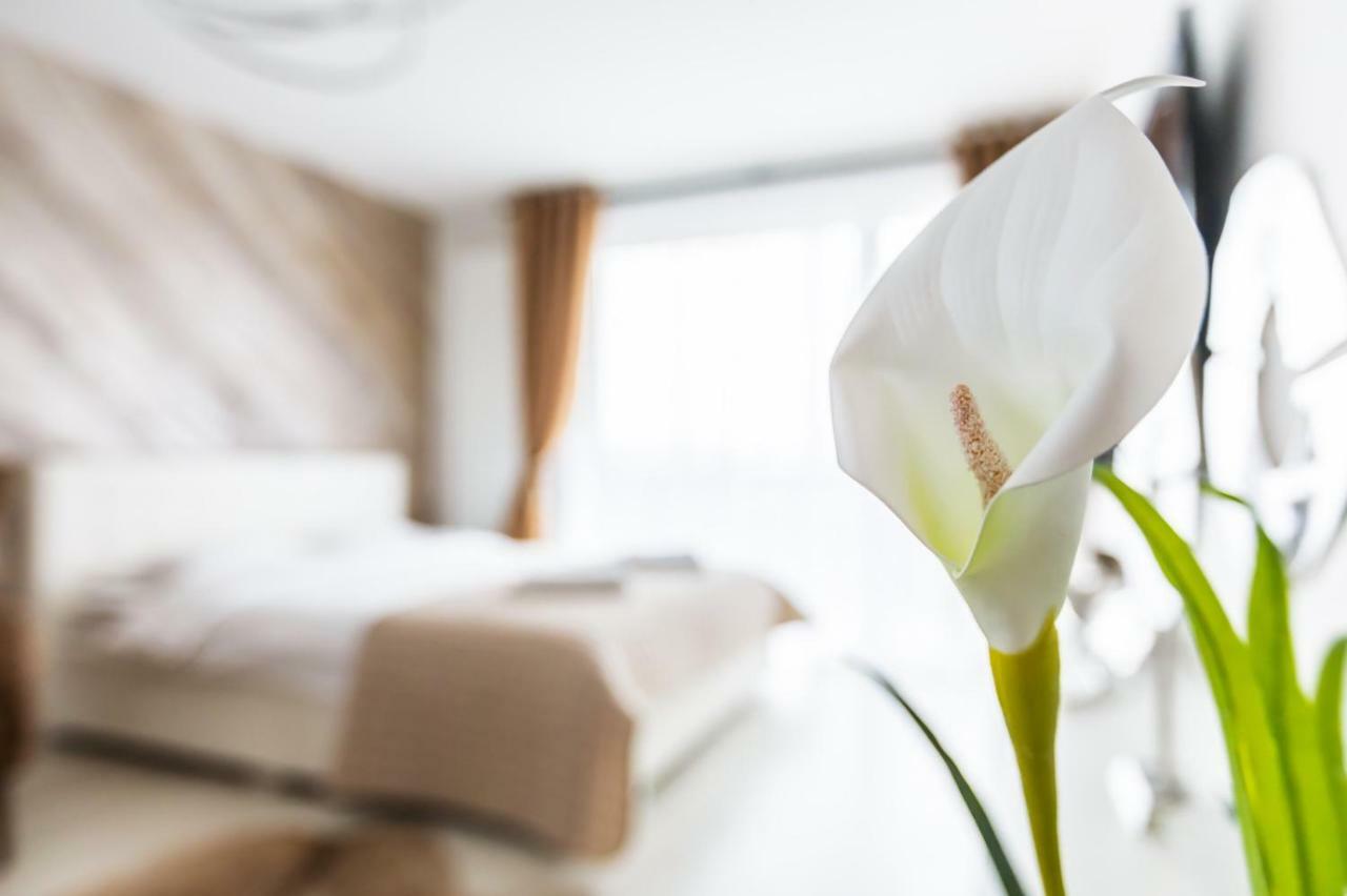 Apartment Alonisos Lux Брашов Экстерьер фото